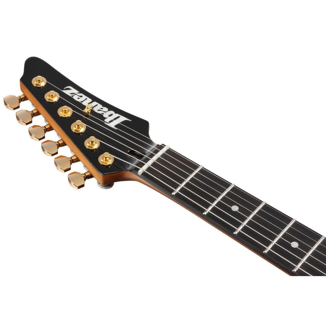 Amazon.com: Ibanez Premium AZ47P1QM Electric Guitar - Dragon